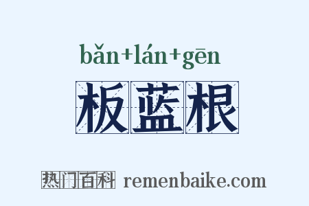 板蓝根是什么意思的图片